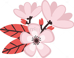 桃花花朵一支桃花