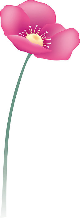 映山红花中式大红花