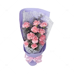 母亲节康乃馨设计素材