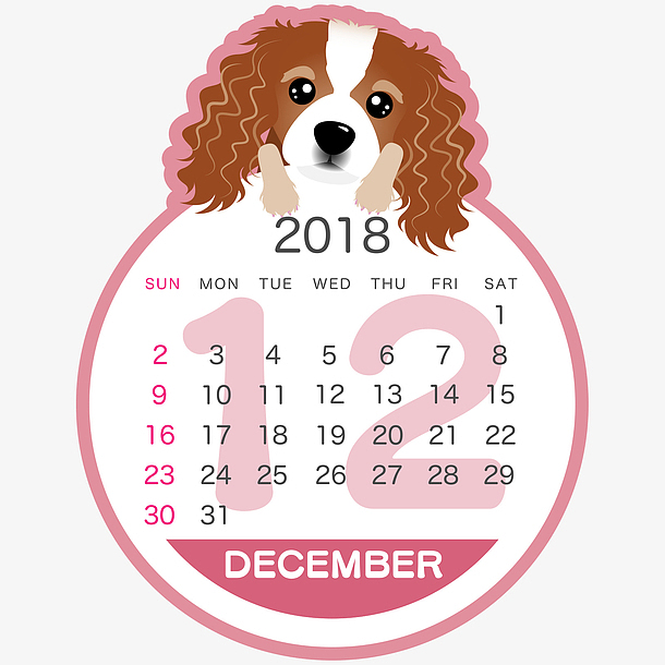 粉色2018狗年圆形十二月日历