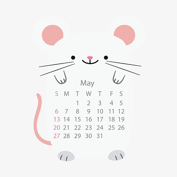 白色老鼠2018年五月动物日历