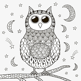 秘密花园填色游戏样式花纹装饰