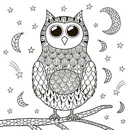 秘密花园填色游戏样式花纹装饰猫