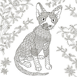 秘密花园填色游戏样式花纹装饰狗