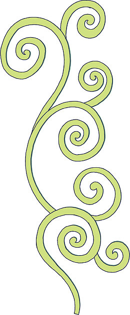 秘密花园填色游戏样式花纹装饰