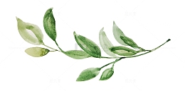 手绘水彩绿叶叶子