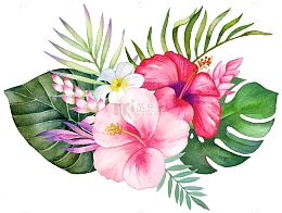 手绘植物花卉花簇