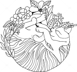 秘密花园填色游戏样式花纹装饰