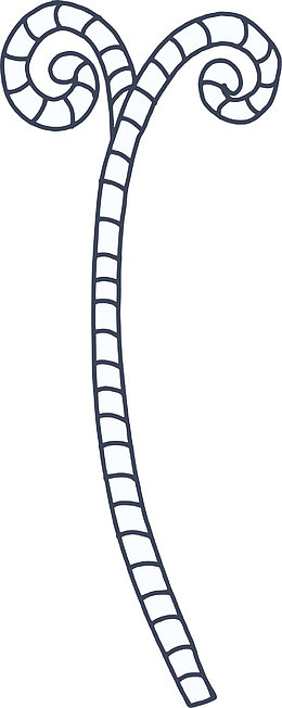 秘密花园填色游戏样式花纹装饰