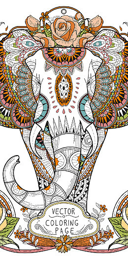 秘密花园填色游戏样式花纹装饰