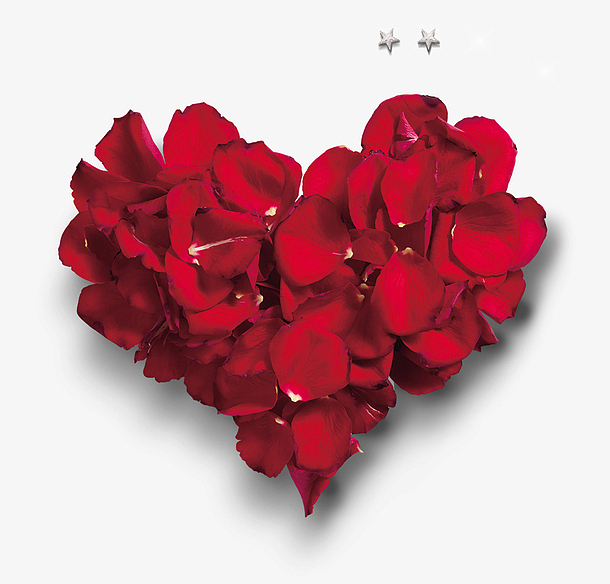 玫瑰花红色爱心七夕情人节海报