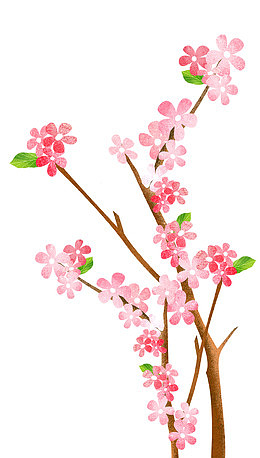 手绘粉色梅花装饰