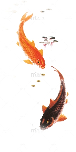 金色中国风荷塘鲤鱼