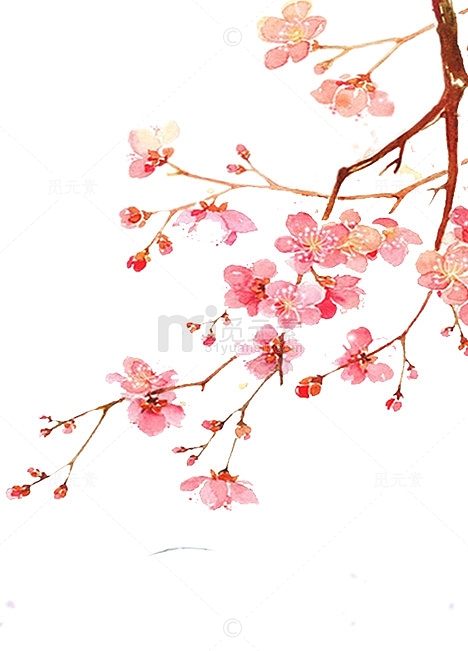 粉色水彩美丽桃花枝