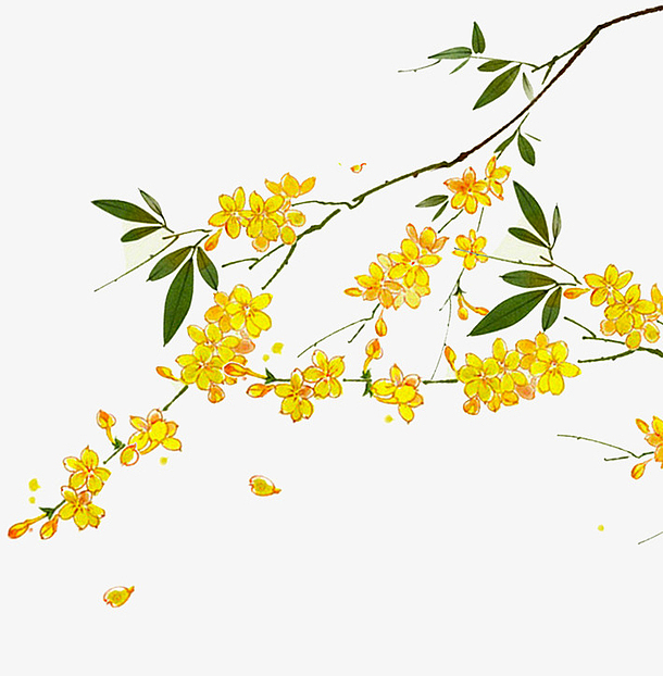 中国风黄色美丽花枝