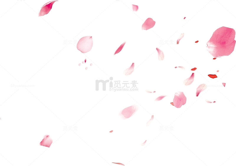 粉色情人节漂浮花瓣
