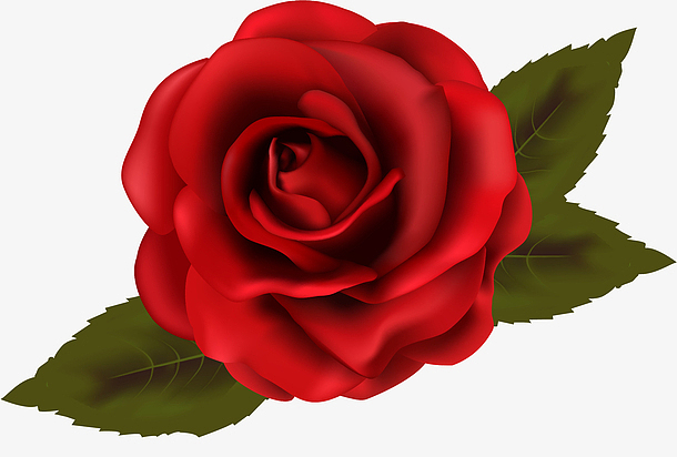 红色玫瑰花图案