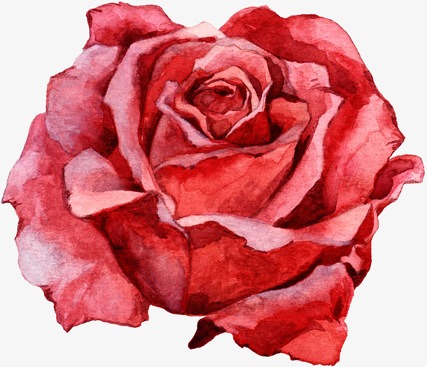 红色手绘玫瑰花装饰