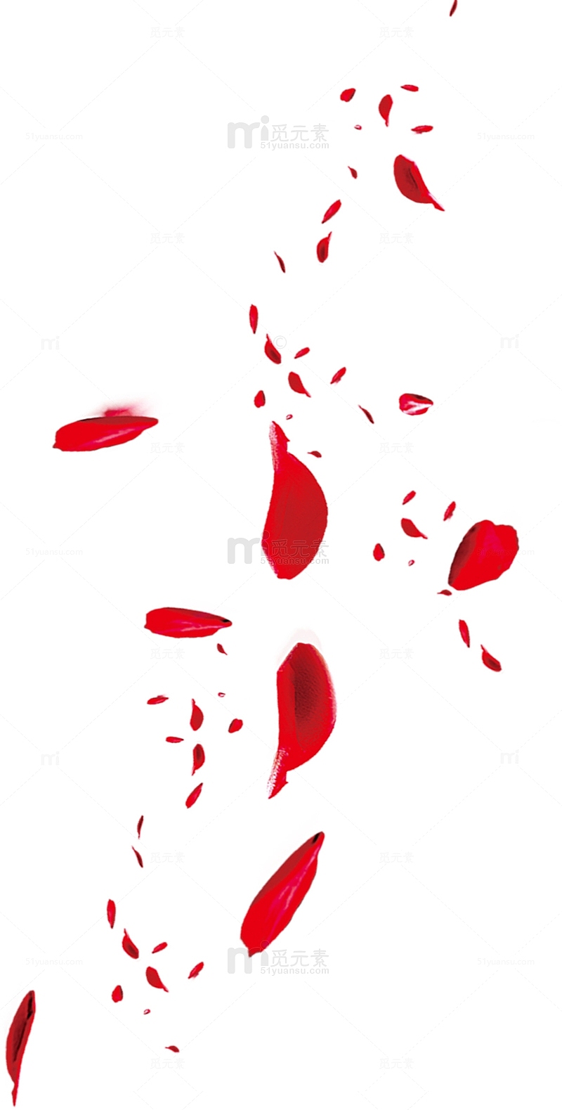 红色情人节漂浮花瓣