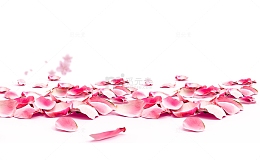 免抠粉色玫瑰花瓣装饰
