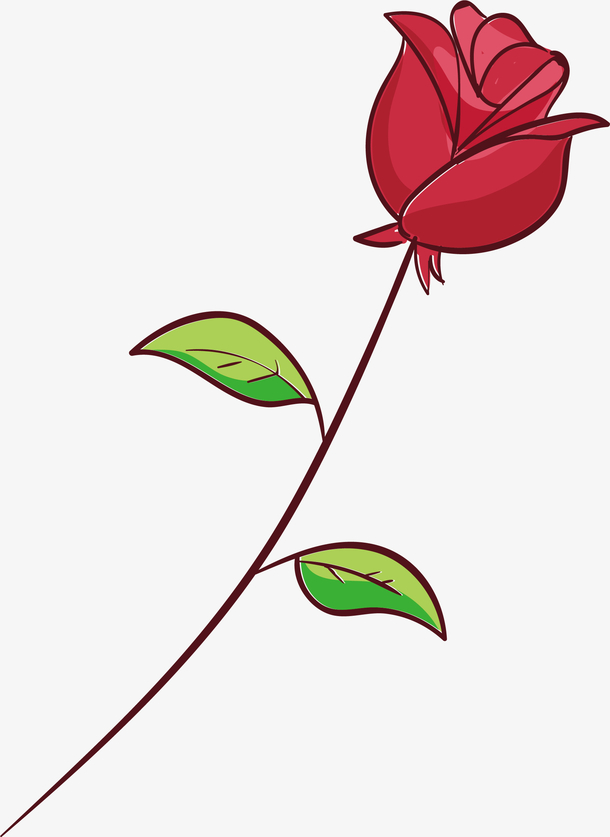 浪漫的一朵红玫瑰