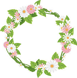 粉白色小雏菊花藤