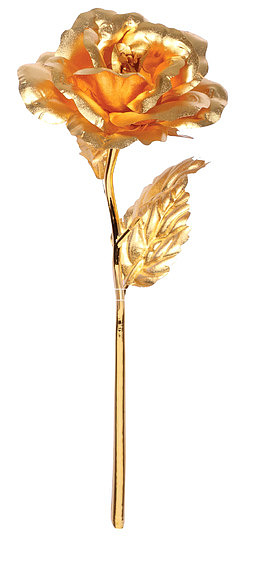 金箔玫瑰特写PNG