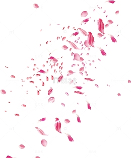 飘洒的玫瑰花瓣