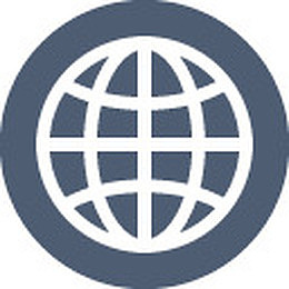 global icon