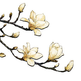 唯美鲜花