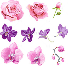 清新可爱花朵装饰图案免抠