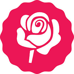 一支矢量玫瑰花