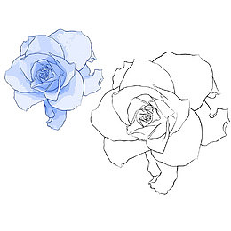 彩色的花