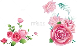 玫瑰花图案