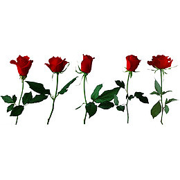 馥郁芬芳