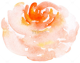 橙色水墨玫瑰花蕊图案
