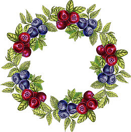 手绘卡通装饰花草蓝莓花环