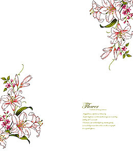 优雅手绘百合花对角花纹