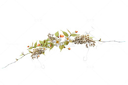 漂亮花边花冠