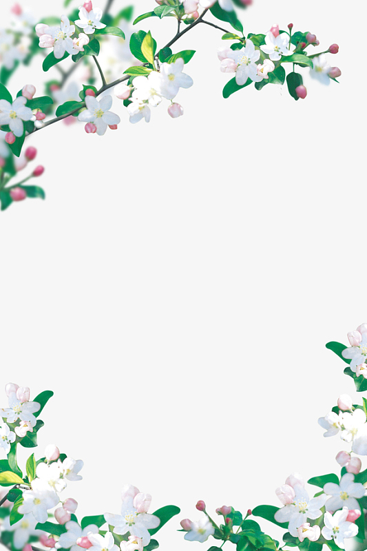 简单树叶花边边框