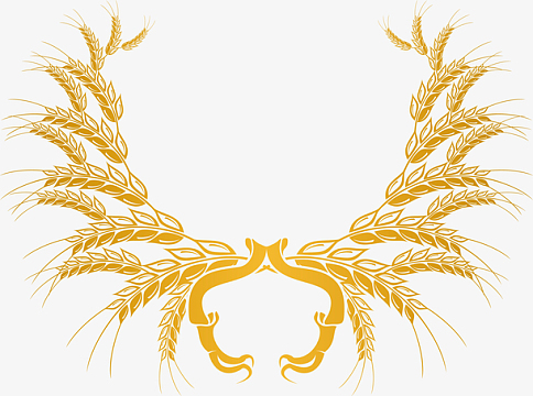 青稞植物花边素材图