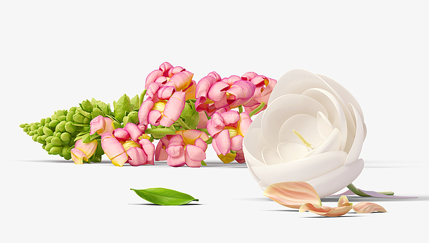 白花与粉色花png素材