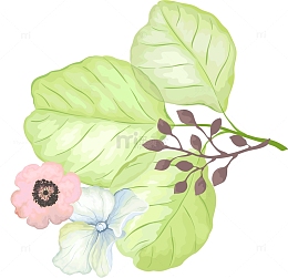 手绘植本花草png素材
