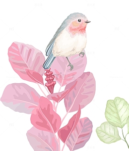 鸟语花草png素材