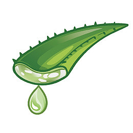 卡通手绘芦荟叶子芦荟汁素材