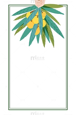 手绘背景枇杷水果店