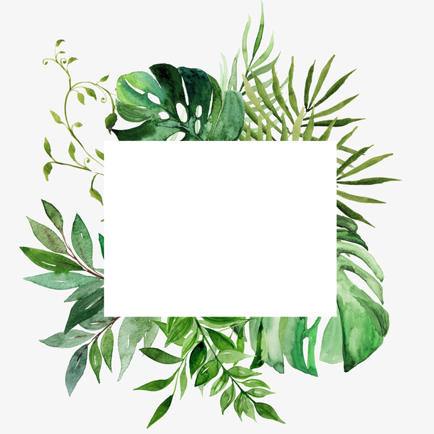 手绘清新花卉花框