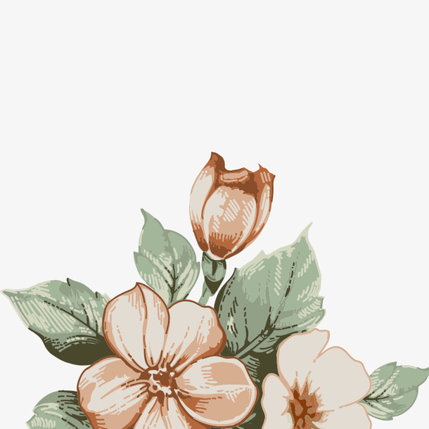 手绘花卉花朵装饰花边唯