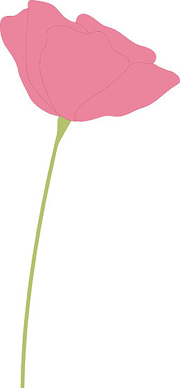 红花油好评小红花
