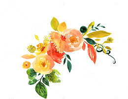 唯美花卉边框鲜花